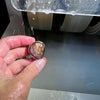 "Cosmic Anthem" Crazy Lace Agate Pendant
